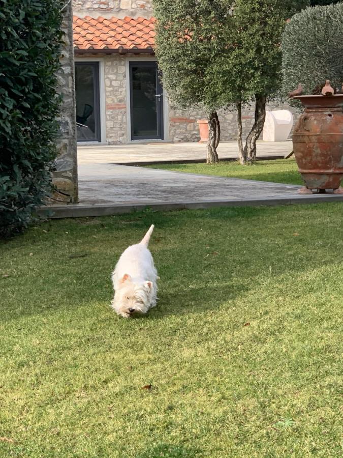 Appartamento In Villa Con Piscina - Mhateria Relais Rignano sullʼArno Eksteriør billede